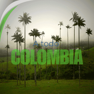 Mudarcol a todo colombia